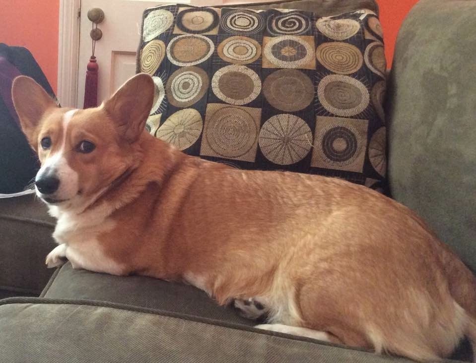Maggie